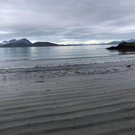 Lofoten Gate Hostel เลอดิงเกน ภายนอก รูปภาพ