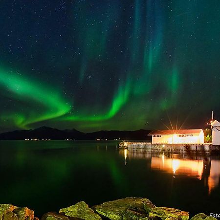 Lofoten Gate Hostel เลอดิงเกน ภายนอก รูปภาพ