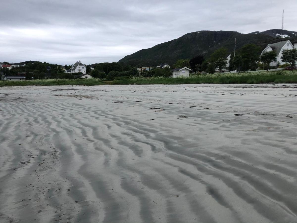 Lofoten Gate Hostel เลอดิงเกน ภายนอก รูปภาพ