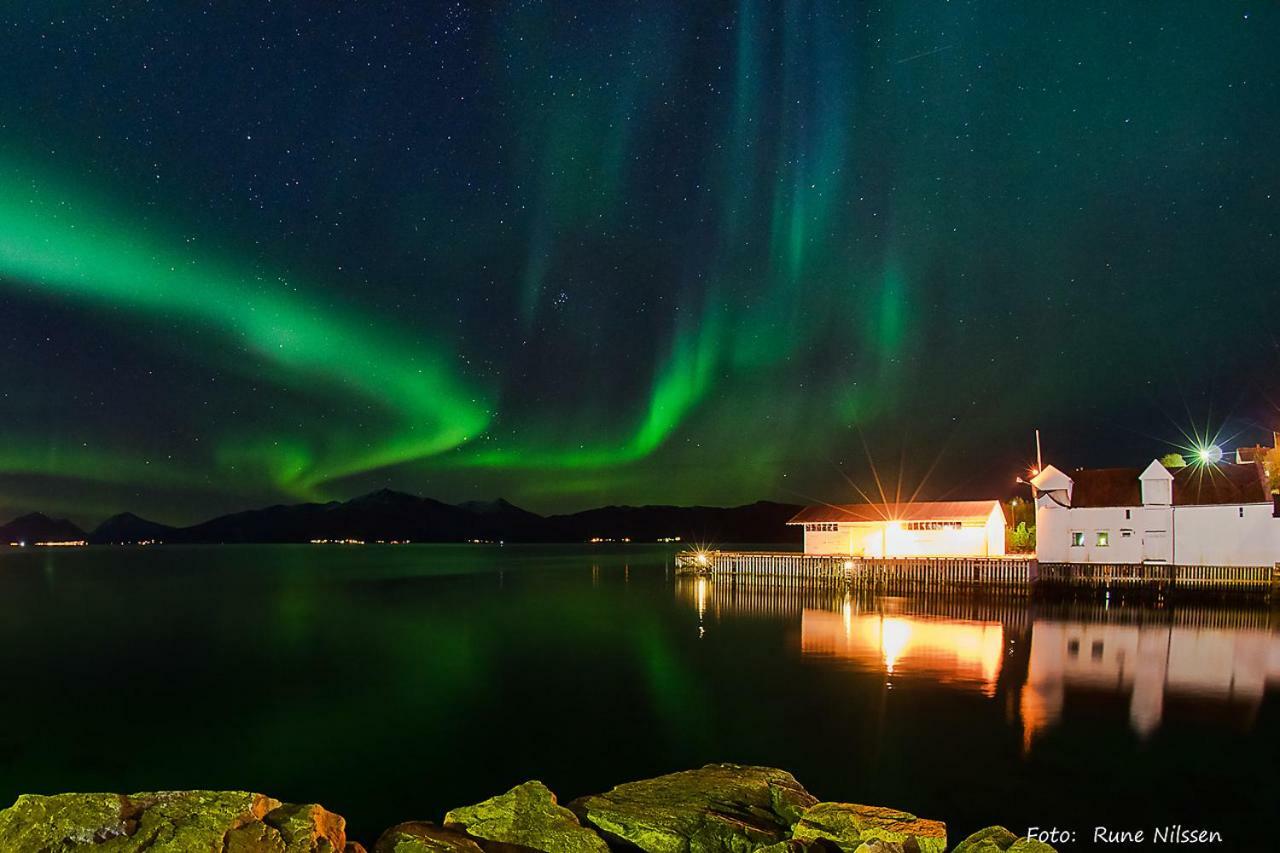Lofoten Gate Hostel เลอดิงเกน ภายนอก รูปภาพ